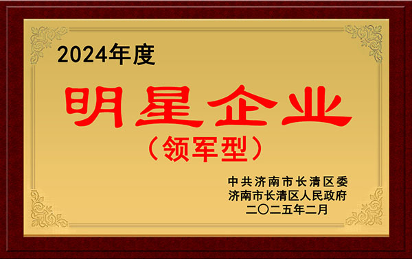 濟南沃德獲評2024年度長清區領軍型明星企業